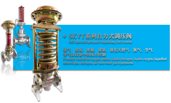 SKVYʽ{ywҺw-ݺwO޹˾
